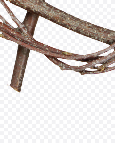 $ from Twigs Brown Font on Yellow Images Creative Fonts - S41207