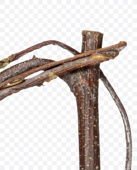 1 from Twigs Brown Font on Yellow Images Creative Fonts - S41194