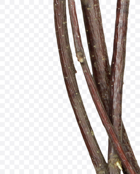 Letter C from Twigs Brown Font on Yellow Images Creative Fonts - S41170