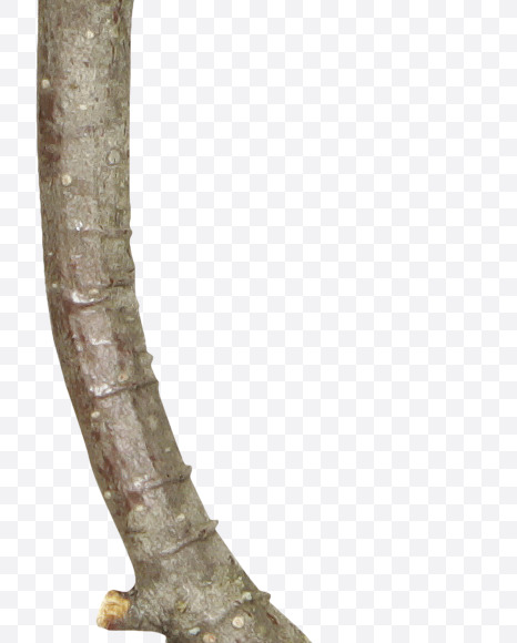 @ from Twigs Brown Font on Yellow Images Creative Fonts - S41208