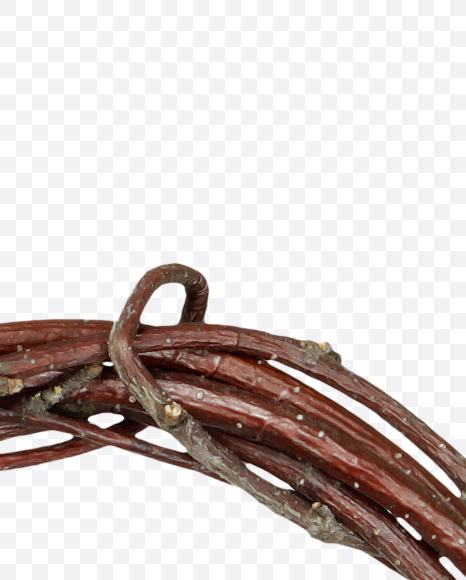 Letter G from Twigs Brown Font on Yellow Images Creative Fonts - S41174