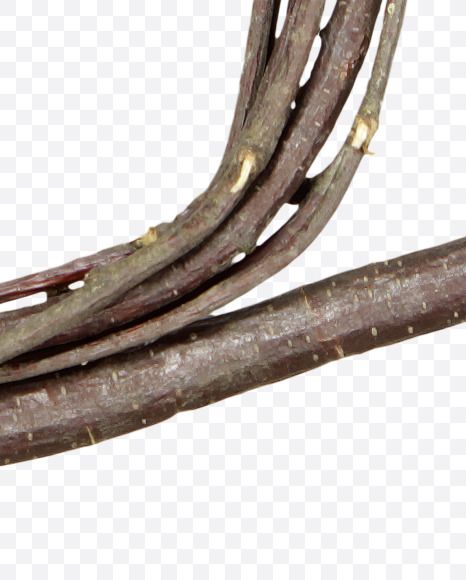 Letter Q from Twigs Brown Font on Yellow Images Creative Fonts - S41184