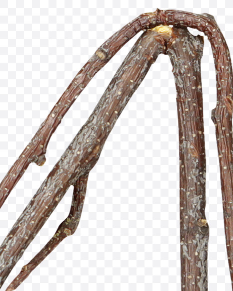 4 from Twigs Brown Font on Yellow Images Creative Fonts - S41197