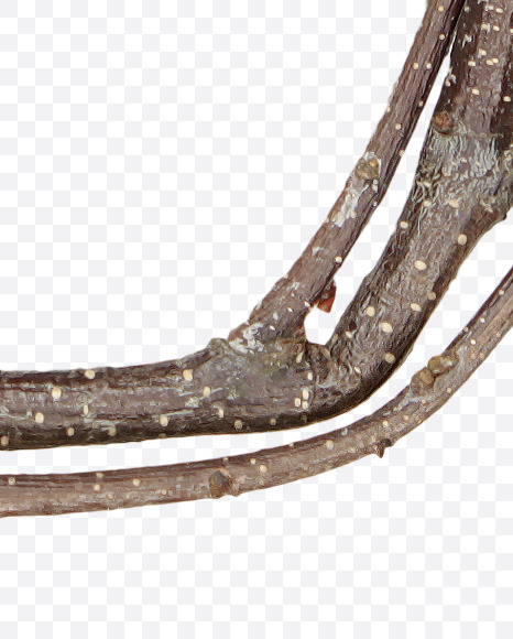 Letter U from Twigs Brown Font on Yellow Images Creative Fonts - S41188