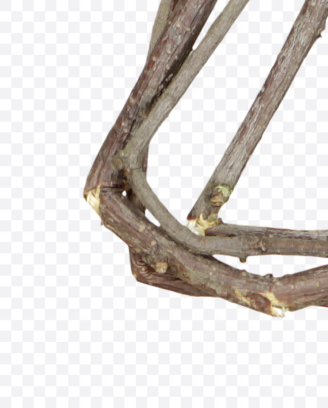 Letter Z from Twigs Brown Font on Yellow Images Creative Fonts - S41193