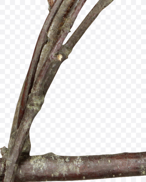 euro from Twigs Brown Font on Yellow Images Creative Fonts - S41209