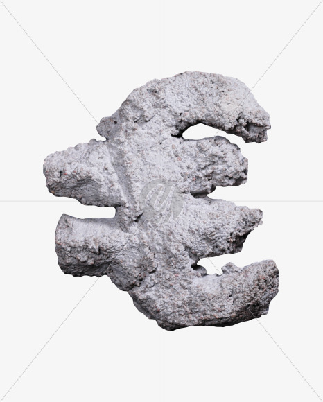 euro