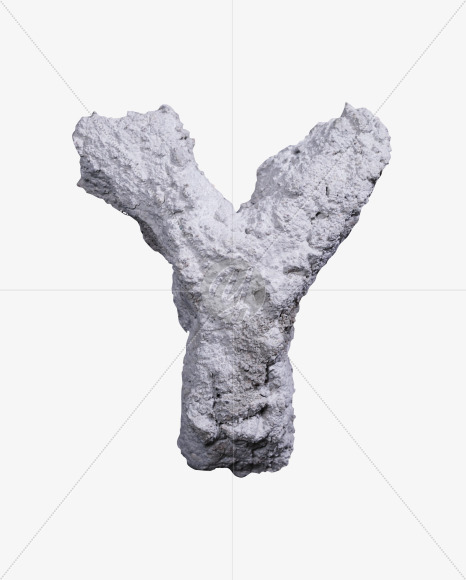 Y
