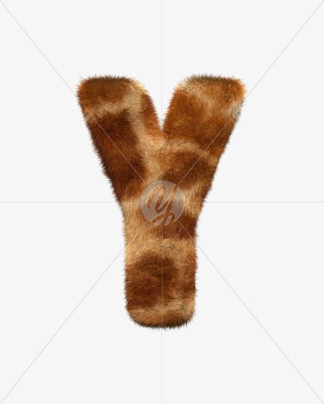 Y