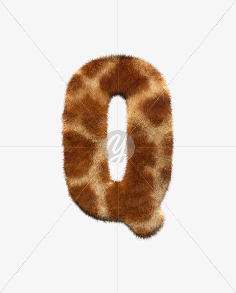 Q