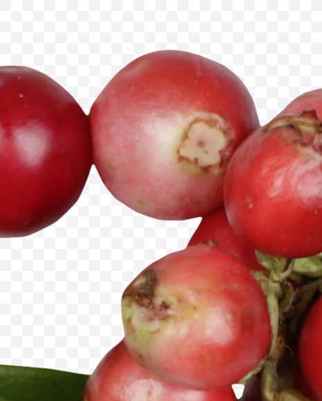 Letter Z from Cowberry Font on Yellow Images Creative Fonts - S42396