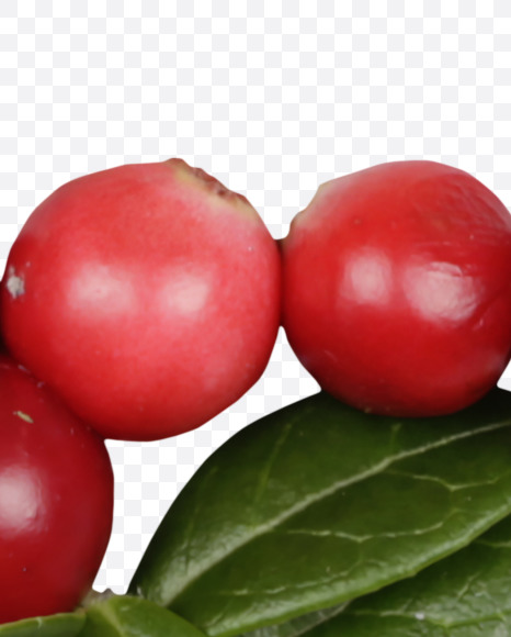 Letter T from Cowberry Font on Yellow Images Creative Fonts - S42390