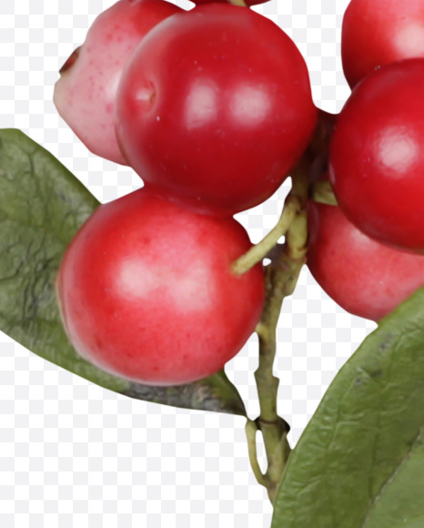 Letter E from Cowberry Font on Yellow Images Creative Fonts - S42375