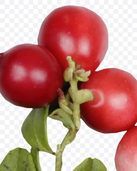 Letter M from Cowberry Font on Yellow Images Creative Fonts - S42383