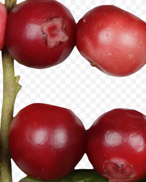 euro from Cowberry Font on Yellow Images Creative Fonts - S42410