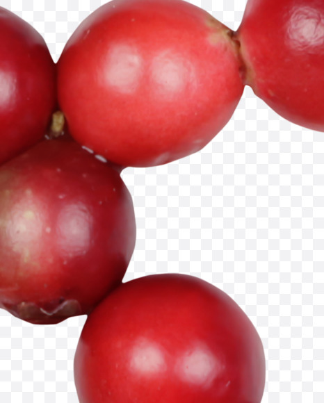 Letter R from Cowberry Font on Yellow Images Creative Fonts - S42388