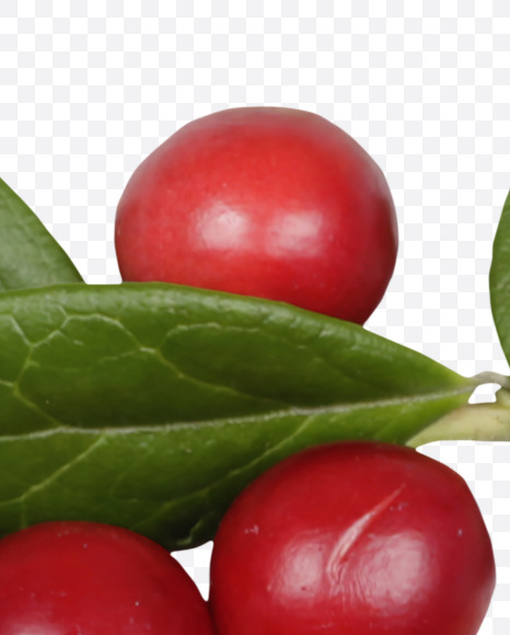 3 from Cowberry Font on Yellow Images Creative Fonts - S42399