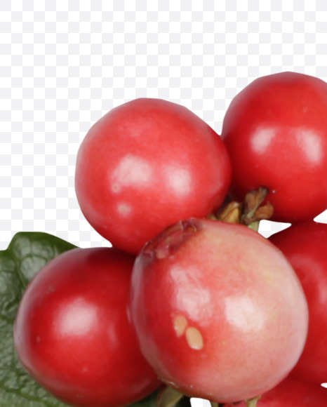 Letter H from Cowberry Font on Yellow Images Creative Fonts - S42378