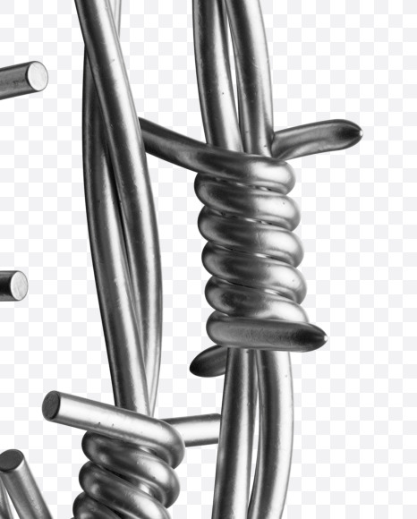 6 from Freedom on Yellow Images Creative Fonts - S42493