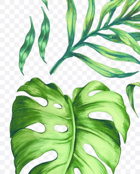 Letter A from Tropical leaves Font on Yellow Images Creative Fonts - S42858