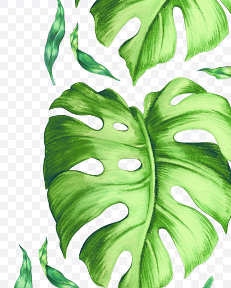 Letter V from Tropical leaves Font on Yellow Images Creative Fonts - S42879