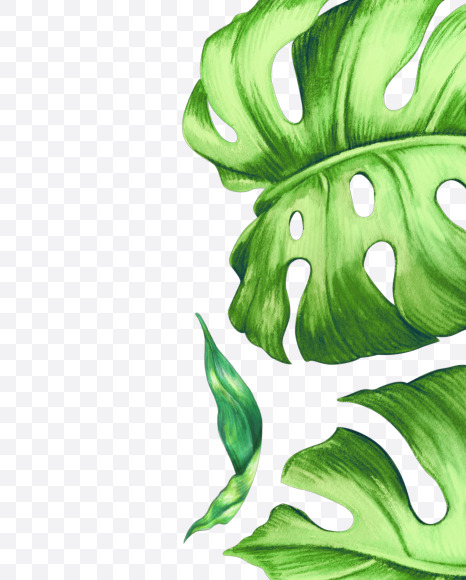 Letter P from Tropical leaves Font on Yellow Images Creative Fonts - S42873