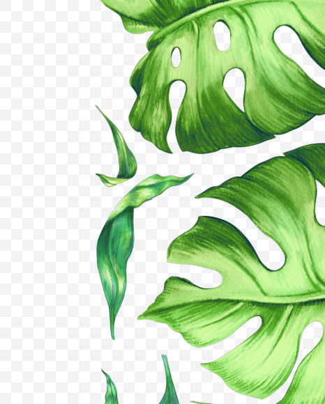 Letter L from Tropical leaves Font on Yellow Images Creative Fonts - S42869