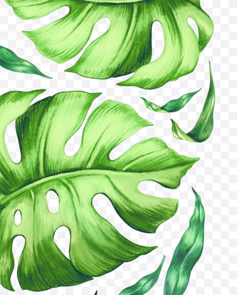 1 from Tropical leaves Font on Yellow Images Creative Fonts - S42884