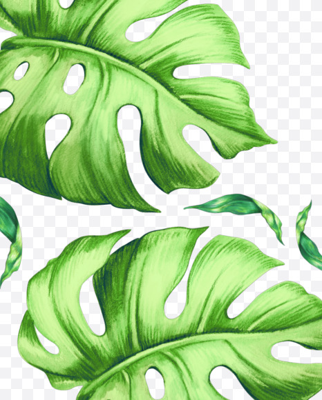 Letter Y from Tropical leaves Font on Yellow Images Creative Fonts - S42882