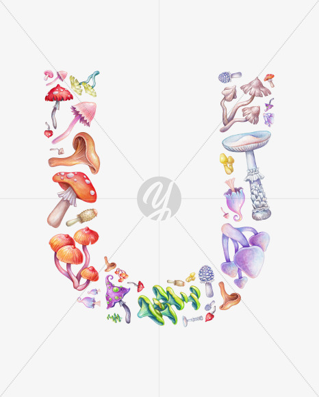 U