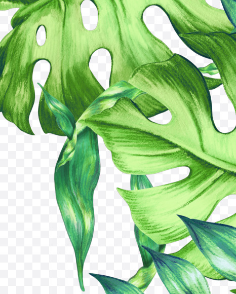 Letter Y from Jungle Font on Yellow Images Creative Fonts - S43024