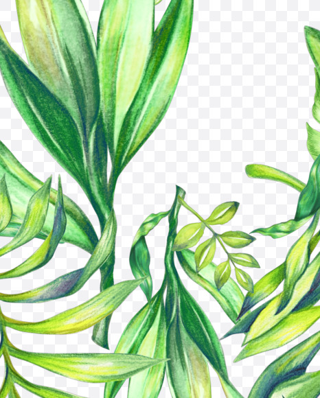 # from Jungle Font on Yellow Images Creative Fonts - S43038