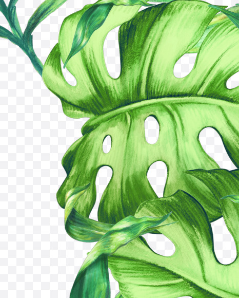 Letter D from Jungle Font on Yellow Images Creative Fonts - S43003