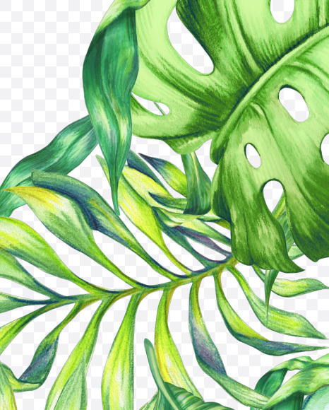 2 from Jungle Font on Yellow Images Creative Fonts - S43027