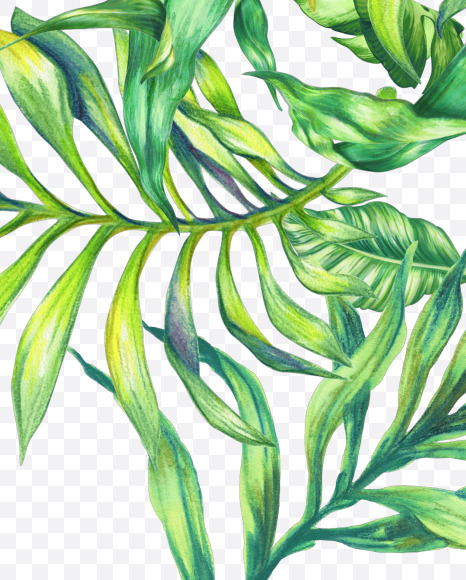 Letter B from Jungle Font on Yellow Images Creative Fonts - S43001