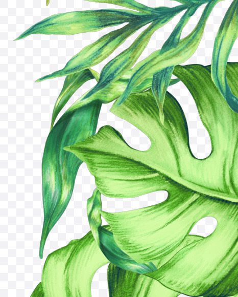 Letter J from Jungle Font on Yellow Images Creative Fonts - S43009