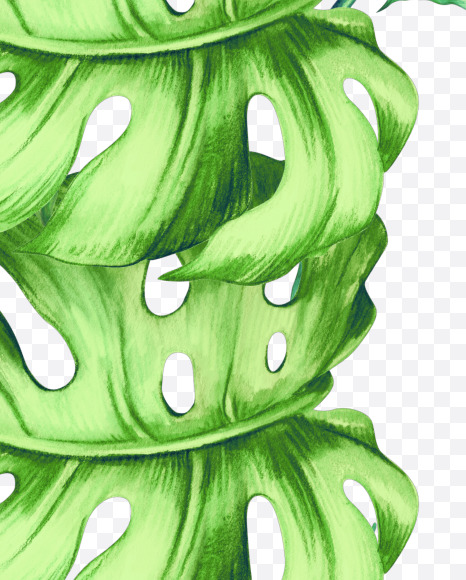 euro from Jungle Font on Yellow Images Creative Fonts - S43040