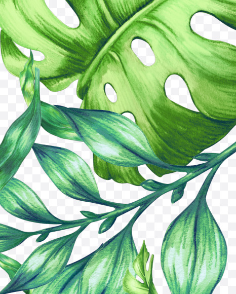 7 from Jungle Font on Yellow Images Creative Fonts - S43032