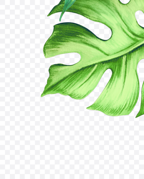 ! from Jungle Font on Yellow Images Creative Fonts - S43036