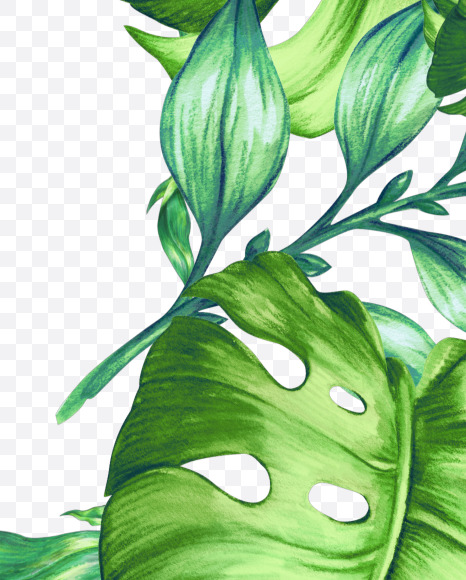 3 from Jungle Font on Yellow Images Creative Fonts - S43028