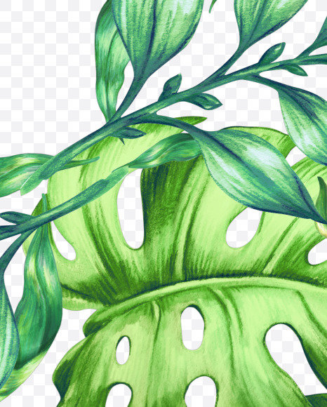 9 from Jungle Font on Yellow Images Creative Fonts - S43034