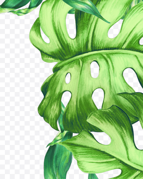 Letter O from Jungle Font on Yellow Images Creative Fonts - S43014