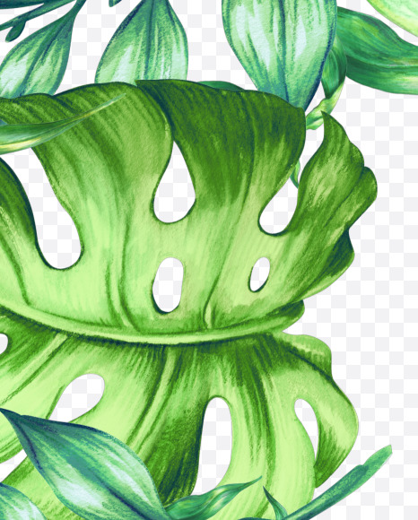 0 from Jungle Font on Yellow Images Creative Fonts - S43035