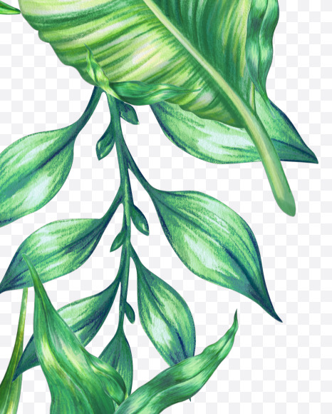 & from Jungle Font on Yellow Images Creative Fonts - S43043