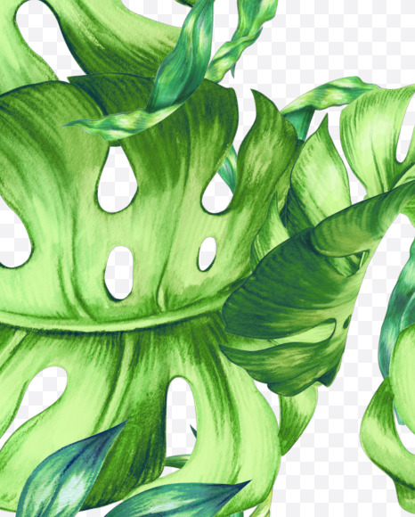 Letter R from Jungle Font on Yellow Images Creative Fonts - S43017