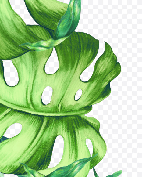 Letter C from Jungle Font on Yellow Images Creative Fonts - S43002