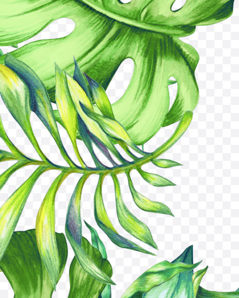 Letter Z from Jungle Font on Yellow Images Creative Fonts - S43025