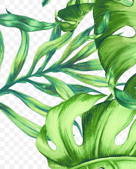 Letter H from Jungle Font on Yellow Images Creative Fonts - S43007