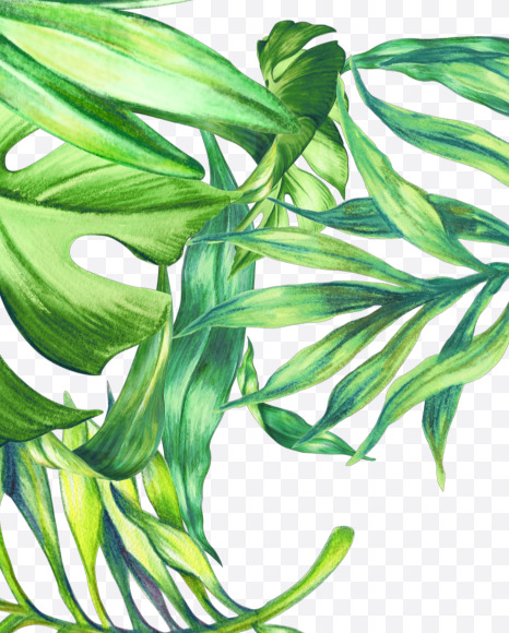 Letter E from Jungle Font on Yellow Images Creative Fonts - S43004