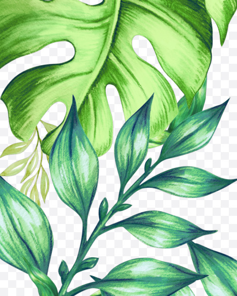 % from Jungle Font on Yellow Images Creative Fonts - S43042